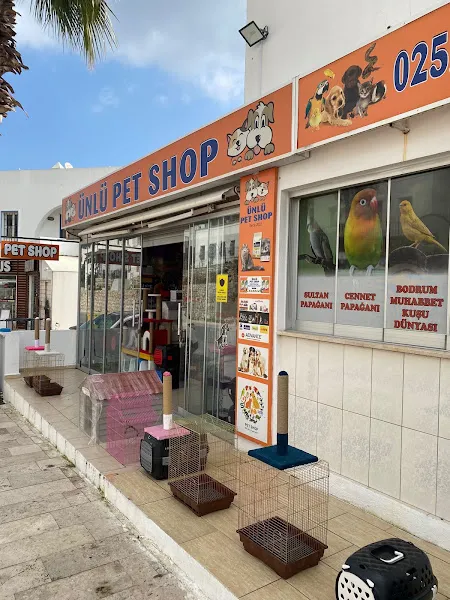 GÜMBET ÜNLÜ PETSHOP BODRUM MUHABBET KUŞU DÜNYASI foto 1
