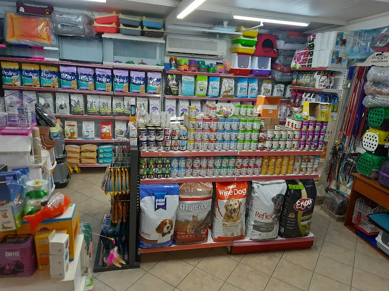 GÜMBET ÜNLÜ PETSHOP BODRUM MUHABBET KUŞU DÜNYASI foto 2