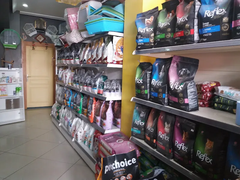 Karınca Pet Market foto 2