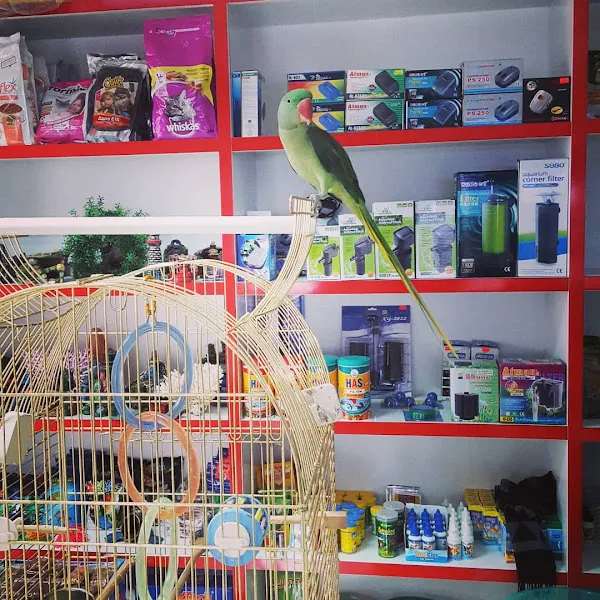 Tropikal Pet Shop foto 1