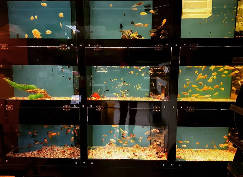 Tropikal Pet Shop foto 2