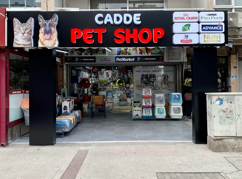 Cadde Petshop foto 1