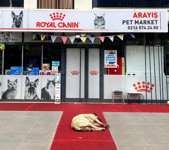 İçerenköy Petshop foto 1