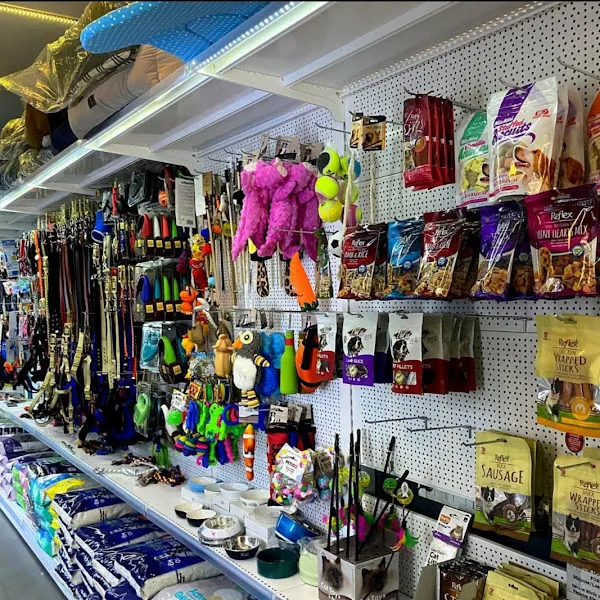 İçerenköy Petshop foto 2