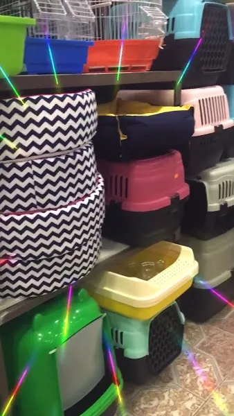Patiş Petshop Elazığ foto 2