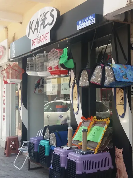 Furry Pet Shop & Pet Kuaför Salonu foto 2