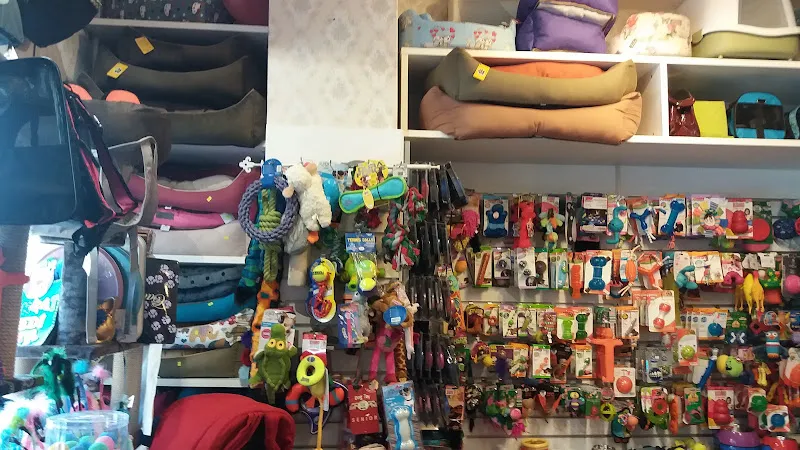 Petzade Şaşkınbakkal Petshop foto 2