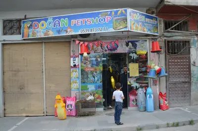 Doğan Petshop