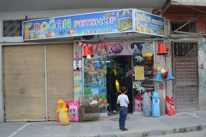 Doğan Petshop foto 1