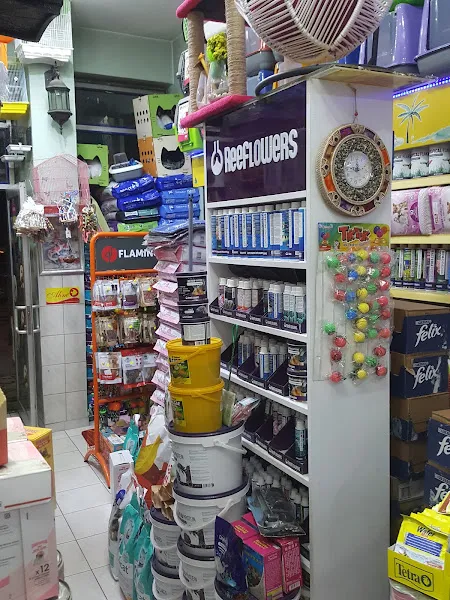 Bahar Pet Akvaryum foto 2