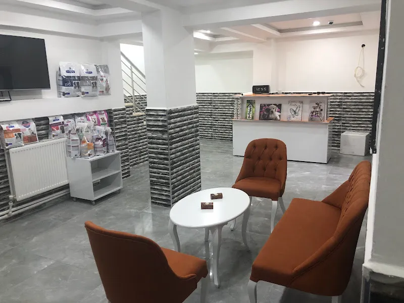 Pati Zonguldak Veteriner Kliniği foto 1