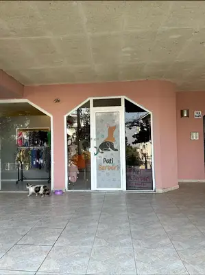 Pati Berberi fotoğrafı