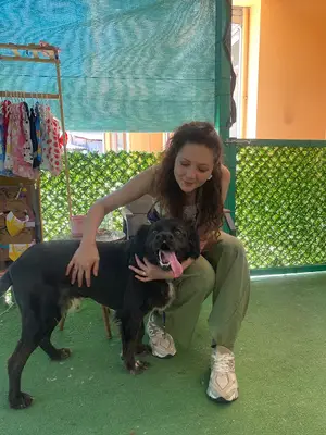 Petcut Pet kuaförü
