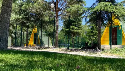Pet Villas Köpek Oteli Eğitimi ve Rehabilitasyon Merkezi fotoğrafı