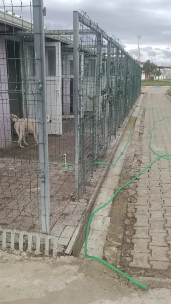 Nevsehir Belediyesi Hayvan Barınağı foto 2