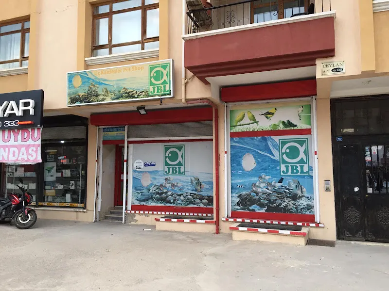 üç kardeşler karapürçek petshop foto 1