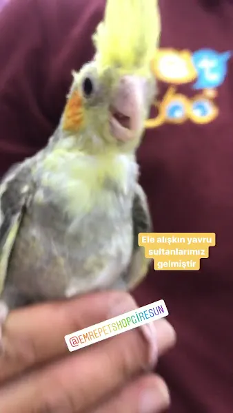 Emre Pet Shop & Pet Kuaför foto 2
