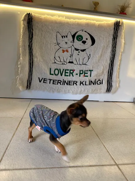 Lover Pet Veteriner Kliniği foto 2