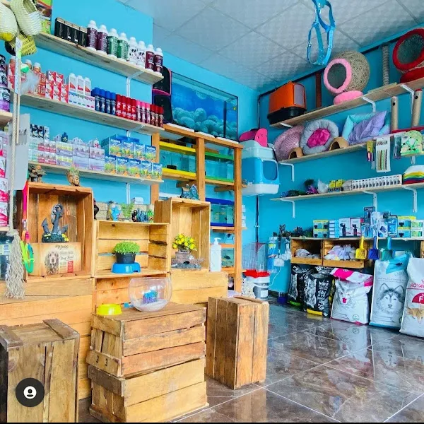 TIFIL PETSHOP foto 2
