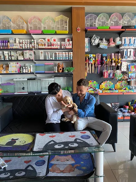 Fenomen Pet Shop - Pet Çiftlik - Kedi Köpek Satış Merkezi foto 2