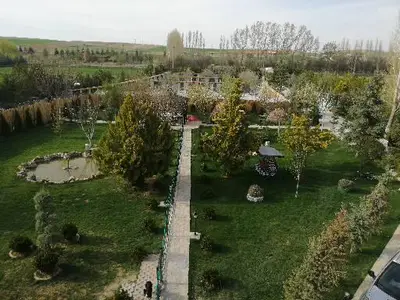 Dog Art Academy fotoğrafı
