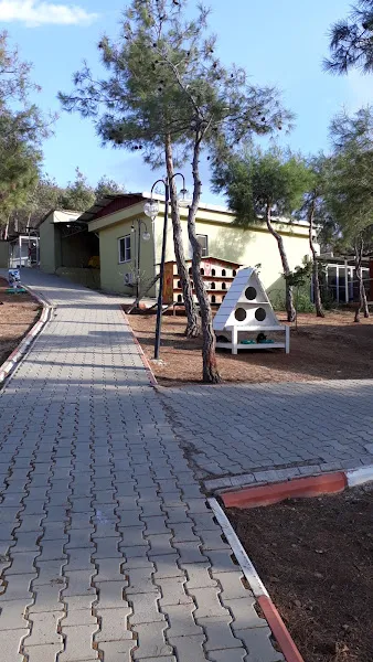 Kahramanmaraş İli Sahipsiz Hayvanları Koruma Birliği foto 2