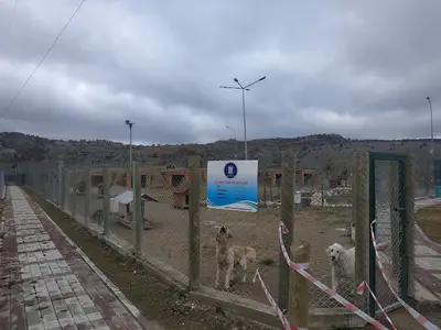 Kütahya Belediyesi Sokak Hayvanları Bakım Evi