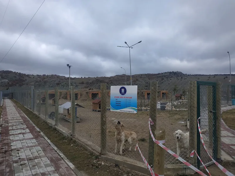 Kütahya Belediyesi Sokak Hayvanları Bakım Evi foto 1