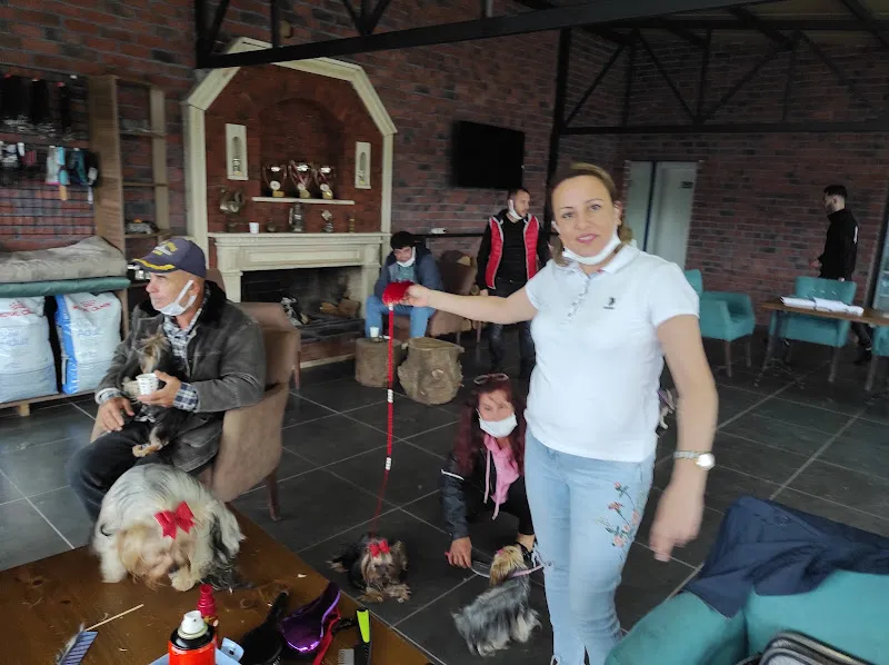Dog School Köpek Eğitim Merkezi ve Oteli foto 2