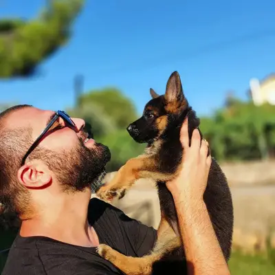 Köpek Eğitimi Merkezi - Pet Oteli ve Pansiyon Çiftliği - Köpek Eğitmeni Murat Güngör İstanbul