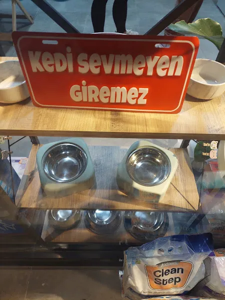 Mavi Petshop foto 2