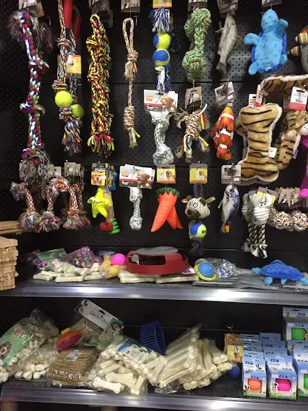MEDA PET SHOP foto 2