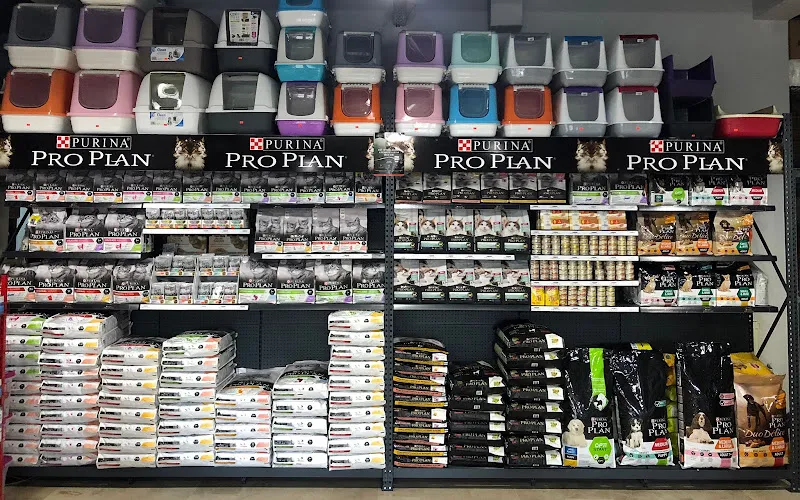 Ankara Pet Shop Akvaryum & Evcil Hayvan Ürünleri foto 2