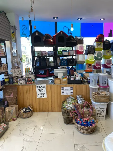 Miyavski Bodrum Petshop & Petkuaför foto 1
