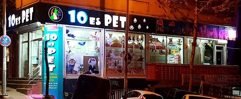 10es PET foto 2