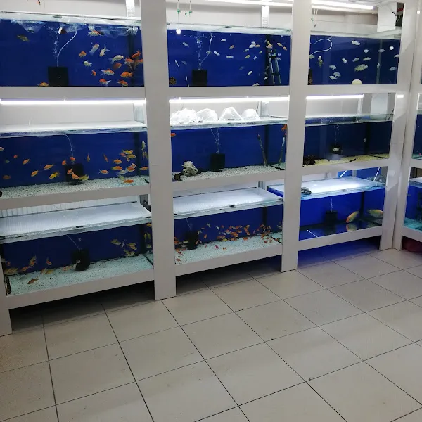 Yunus Akvaryum & Petshop foto 2