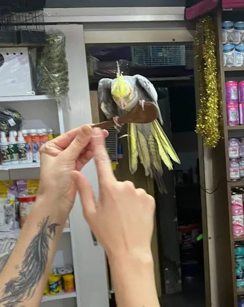 Naz petshop foto 1