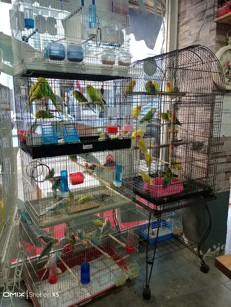 Naz petshop foto 2