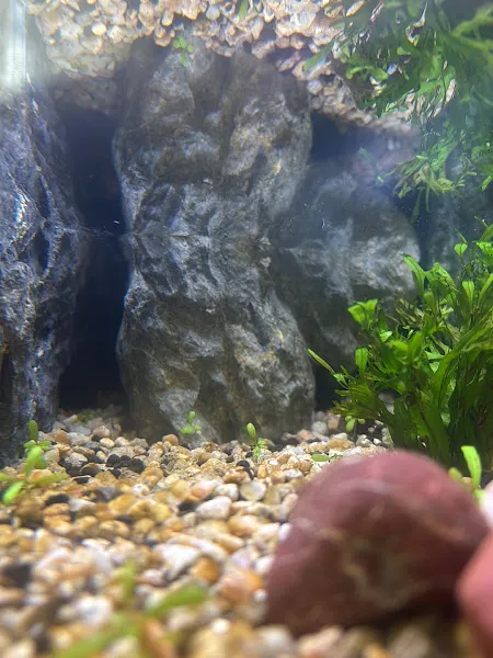 Ocean Akvaryum Petshop foto 2
