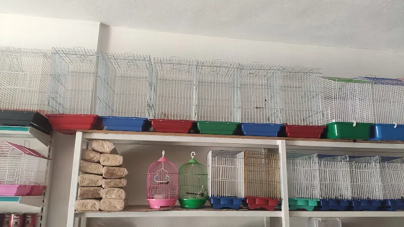 Tezcan Petshop foto 2