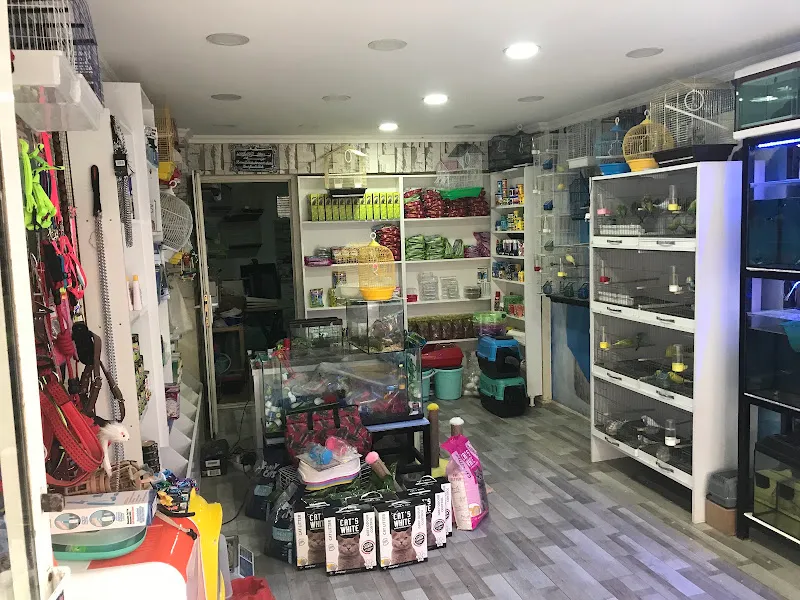 Batu Pet Shop, Kırıkkale Pet Shop foto 2
