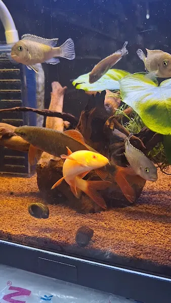 Savaş Pet Shop foto 2