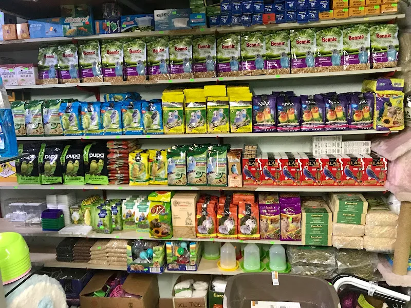 Deniz Kızı Petshop foto 2