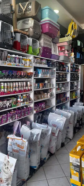 Anka pet Shop foto 1