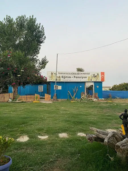 "TEAM ANTALYA" KÖPEK EĞİTİM VE PET OTEL foto 1