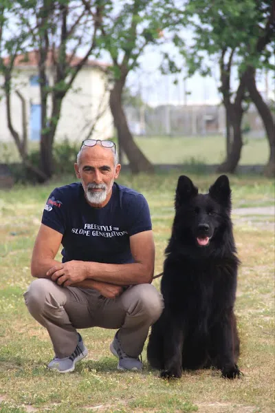 "TEAM ANTALYA" KÖPEK EĞİTİM VE PET OTEL foto 2