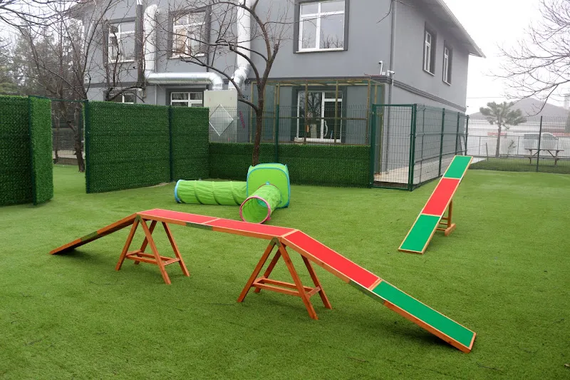 Luxe Pet Hotel foto 2