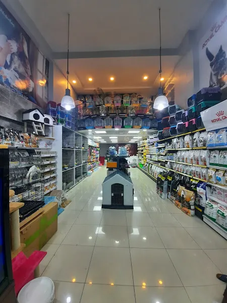 Safari Akvaryum Saray Bosna Şubesi foto 2