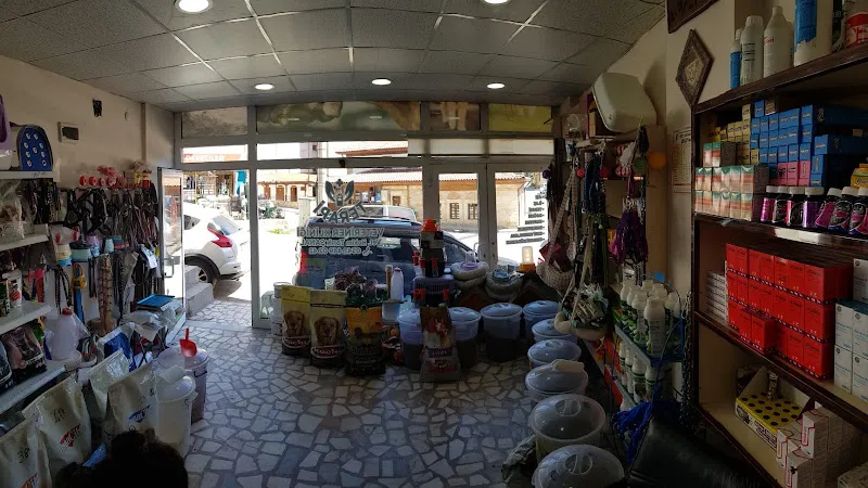 TERAPİ VETERİNER KLİNİĞİ foto 2