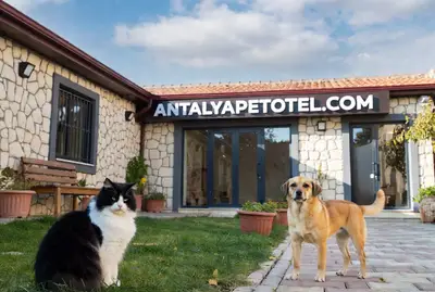 Antalya Pet Otel fotoğrafı
